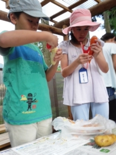 150723_175601.jpg