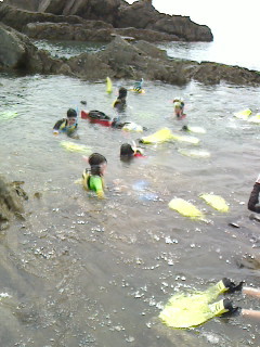 2016080514130000.jpg