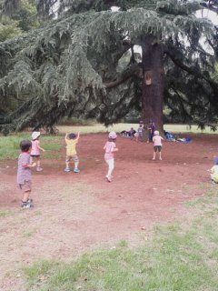 140816_125845_ed.jpg