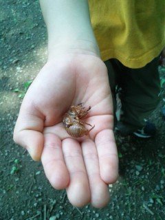 150725_110958_ed.jpg