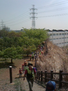 2016033110460001.jpg
