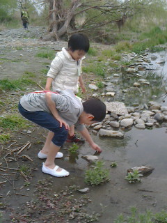 2016040213320000.jpg