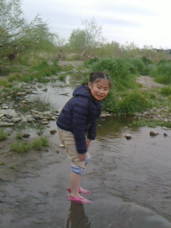 2016040213350000.jpg