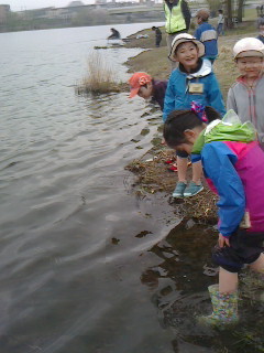 2016040313100000.jpg