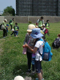 2016050111010000.jpg