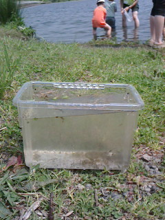 2016050113350000.jpg