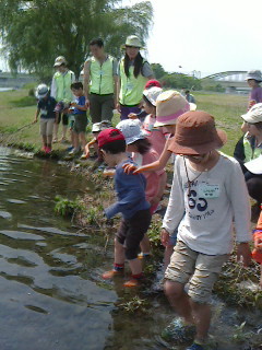2016050113060000.jpg
