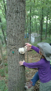 2016072506450000.jpg