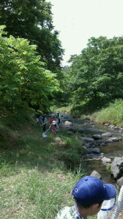 2016072513290001.jpg