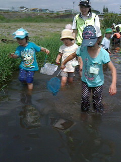 2016081113440000.jpg