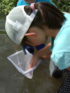 2016081113450000.jpg