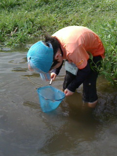 2016081114030000.jpg