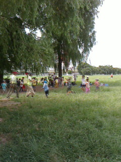 2016081211330000.jpg