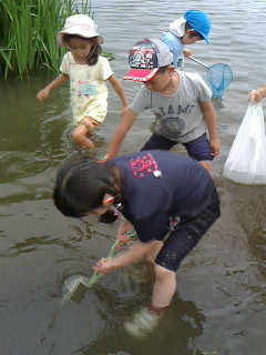 2016081213270000.jpg