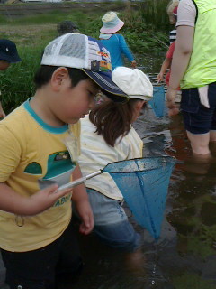 2016081313200000.jpg
