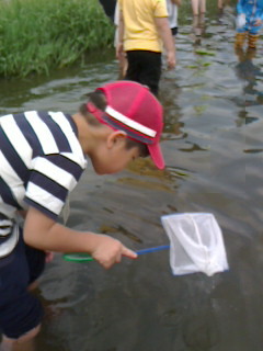 2016081313300000.jpg