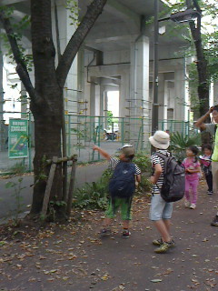 2016081410410001.jpg