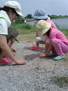 2016081413110000.jpg