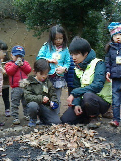 2016122613010000.jpg