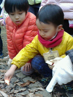 2016122613020000.jpg