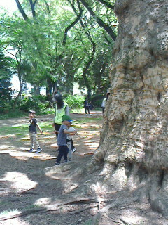 2017043011230000.jpg