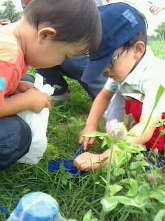 2017081413310000.jpg