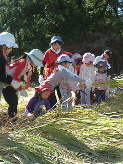 2017093014300000.jpg