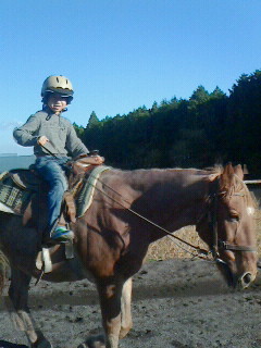 2017111114480000.jpg