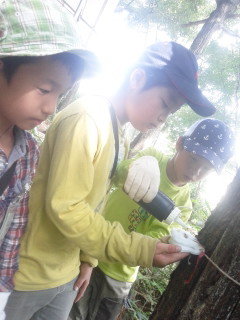 150726_150758.jpg