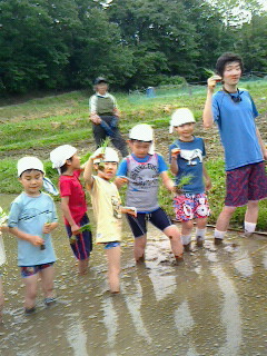 2016052814210000.jpg
