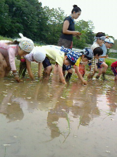 2016052814360001.jpg