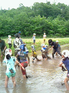 2016052815070003.jpg