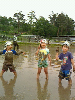 2016052815080000.jpg