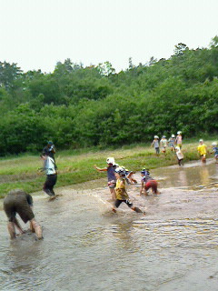 2016052815070001.jpg