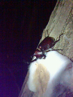 2016072820180000.jpg