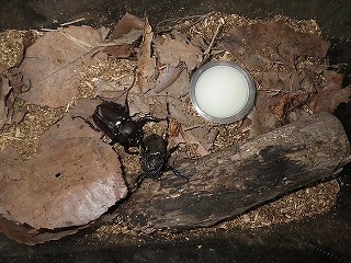 10-thumbnail2.jpg