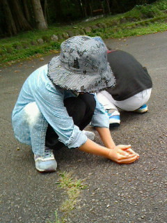 2016073017270001.jpg