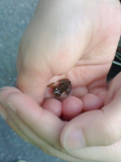2016073017270000.jpg