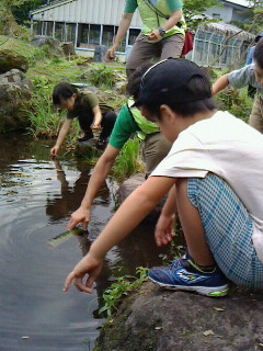 2016073017240001.jpg