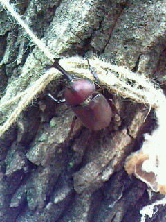2017072806310001.jpg