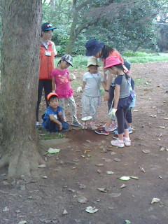 2017082613320000.jpg