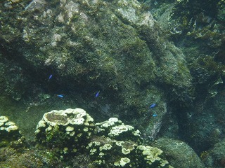 DSCF0340.jpg