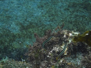 DSCF0354.jpg