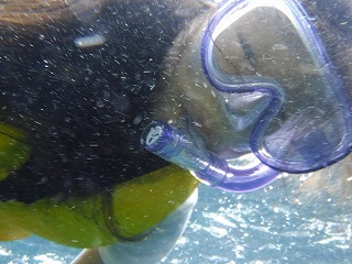 DSCF0369.jpg