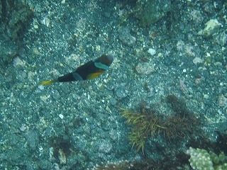 DSCF0380.jpg