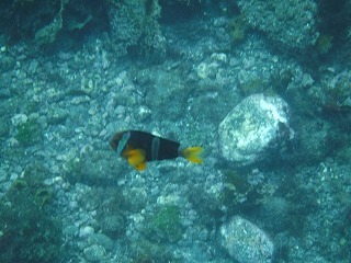 DSCF0396.jpg