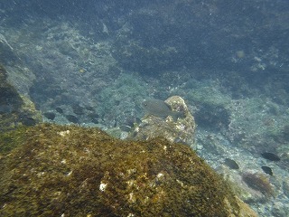 DSCF0402.jpg