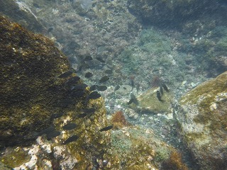 DSCF0403.jpg