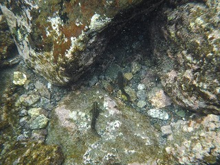 DSCF0405.jpg