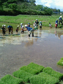 2017052715040001.jpg